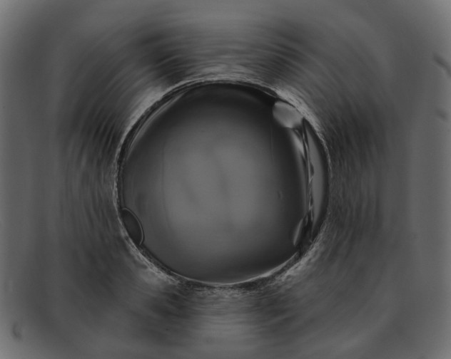 X0000091930941200709191357