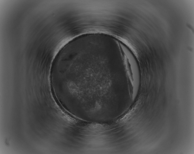 X0000091930943200709191357