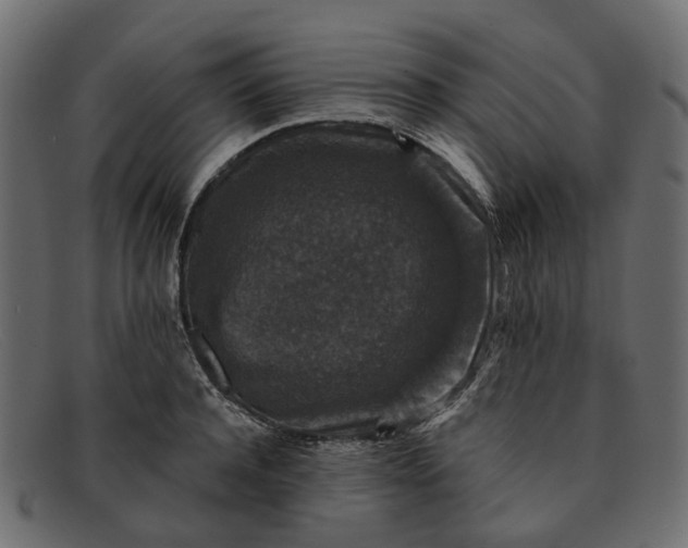X0000091930944200709191357
