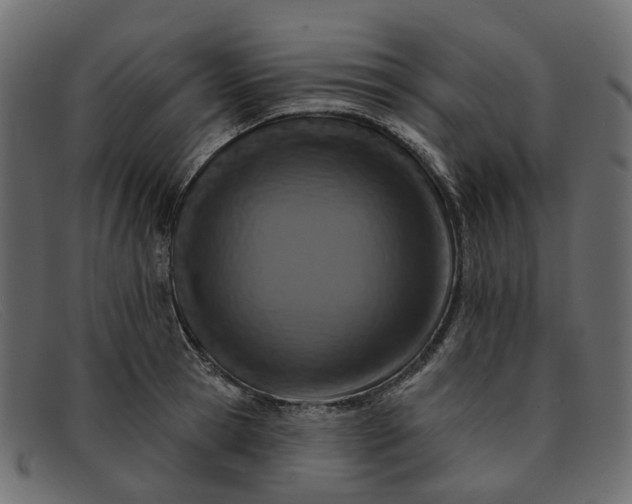 X0000091930945200709191357