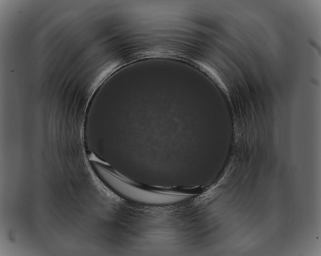 X0000091930946200709191357