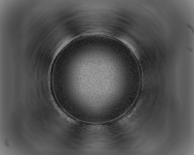 X0000091930949200709191357