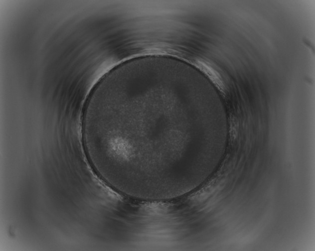 X0000091930950200709191357