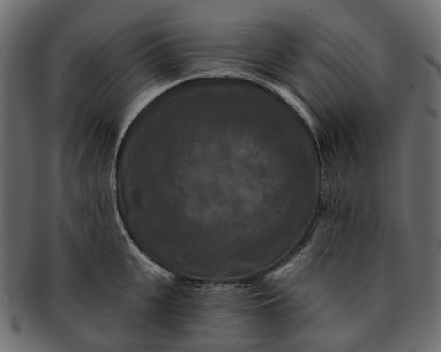 X0000091930951200709191357