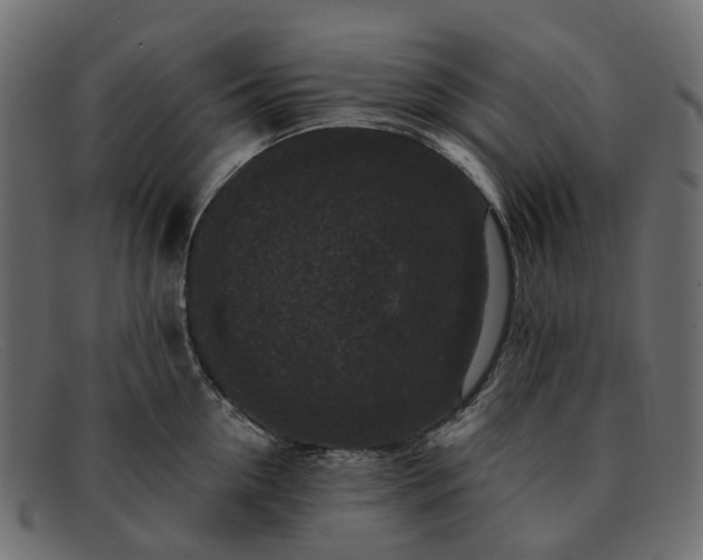 X0000091930954200709191357