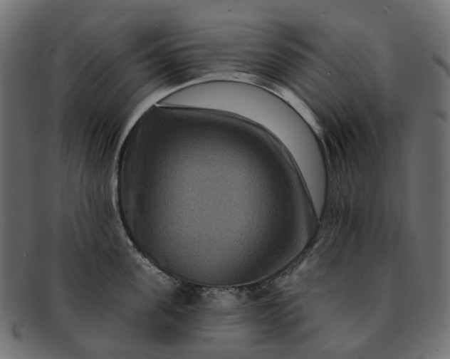 X0000091930955200709191357