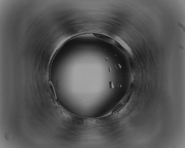 X0000091930956200709191357