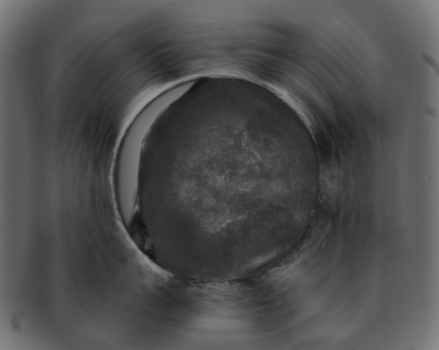 X0000091930959200709191357