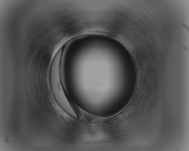 X0000091930960200709191357