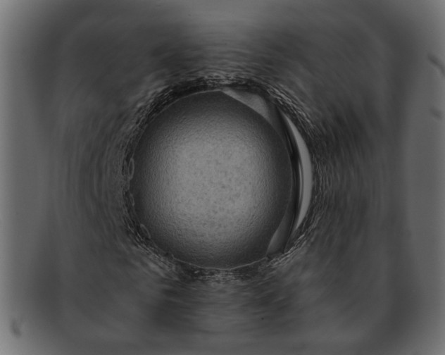 X0000091930961200709191357