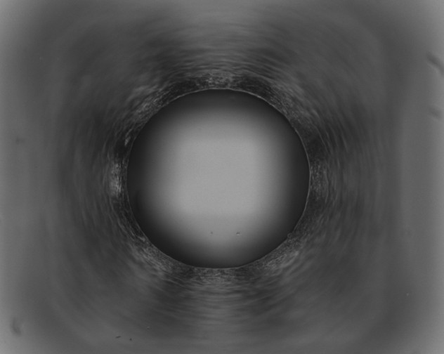 X0000091930962200709191357