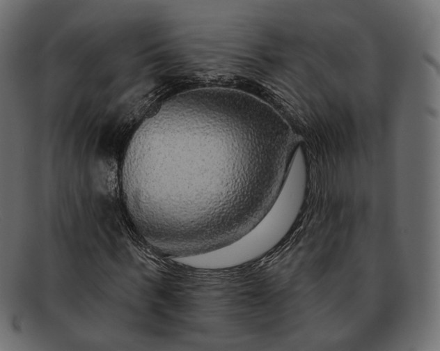 X0000091930963200709191357
