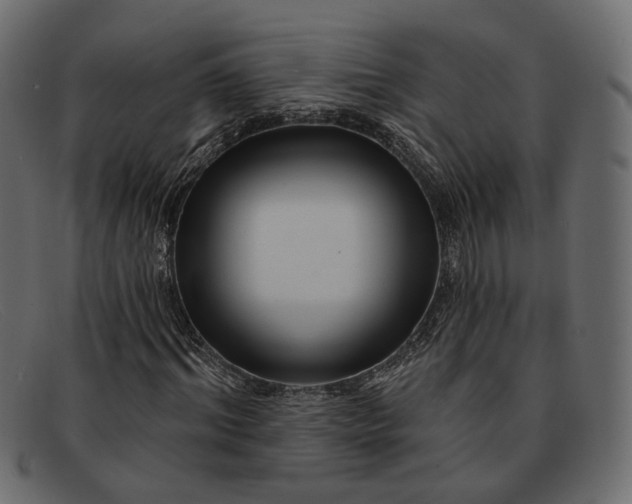 X0000091930964200709191357