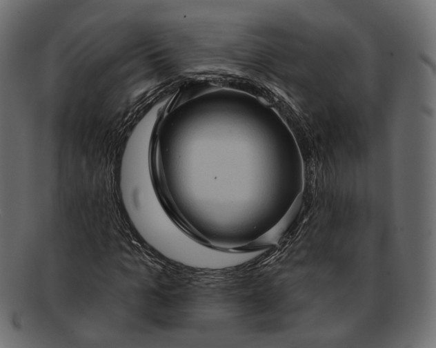X0000091930965200709191356