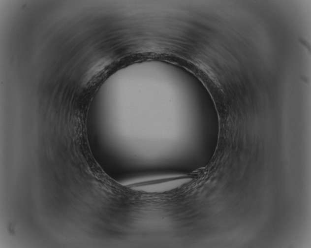 X0000091930967200709191356