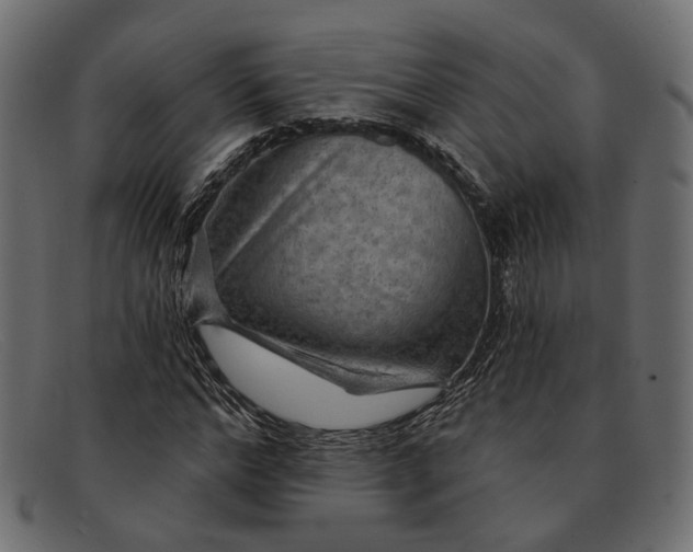 X0000091930968200709191356