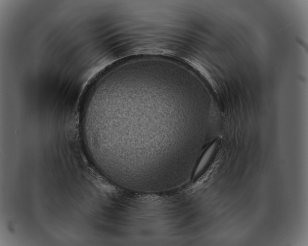 X0000091930971200709191356