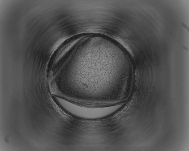 X0000091930972200709191356