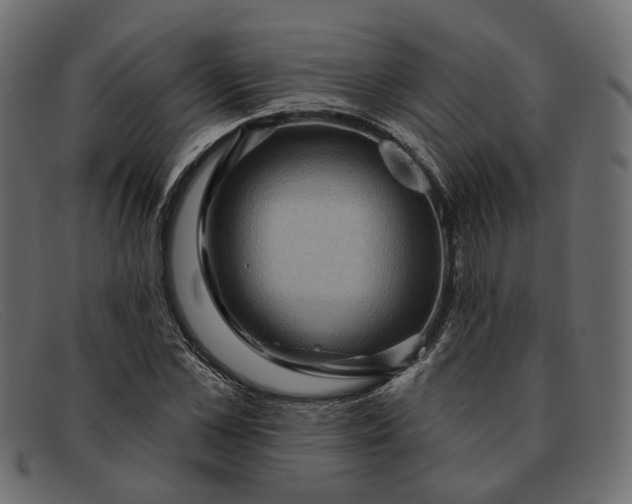 X0000091930973200709191356