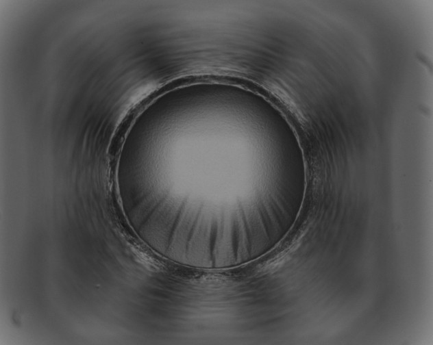 X0000091930974200709191356