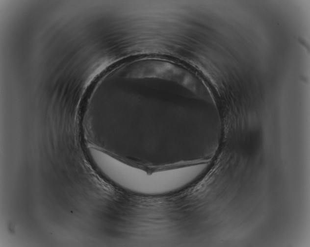 X0000091930975200709191356