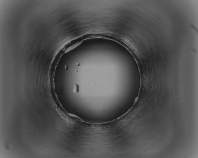 X0000091930976200709191356