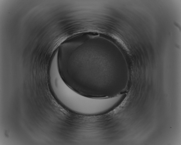 X0000091930977200709191356