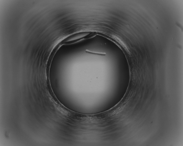 X0000091930980200709191356