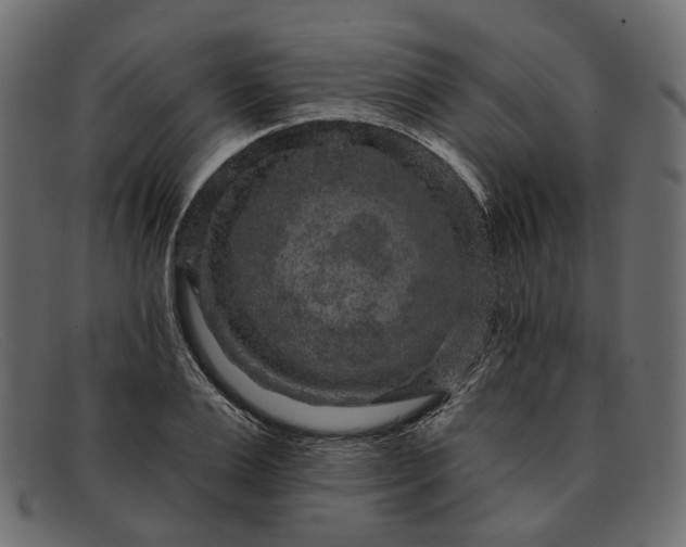 X0000091930983200709191356