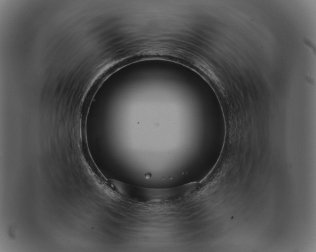 X0000091930984200709191356