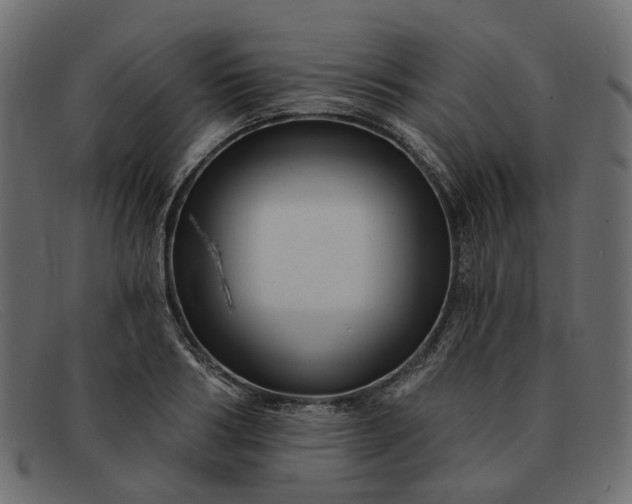 X0000091930986200709191356