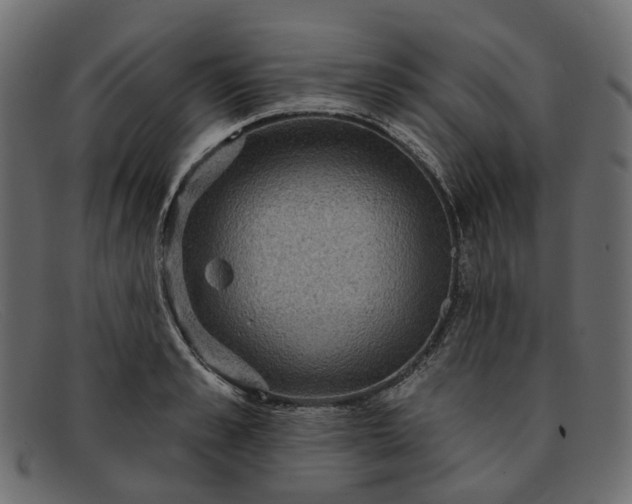 X0000091930989200709191356
