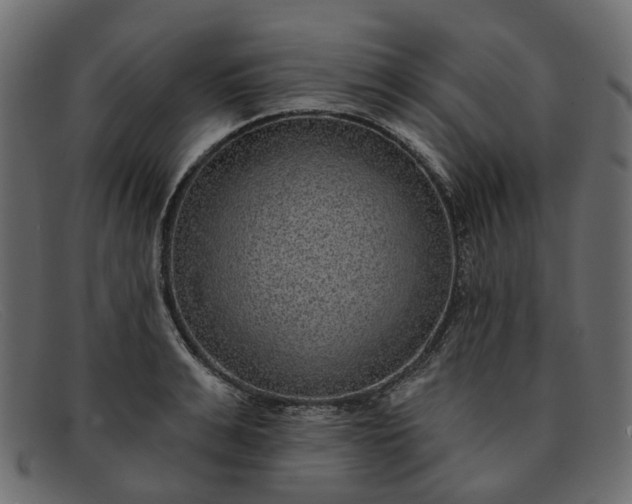 X0000091930991200709191356