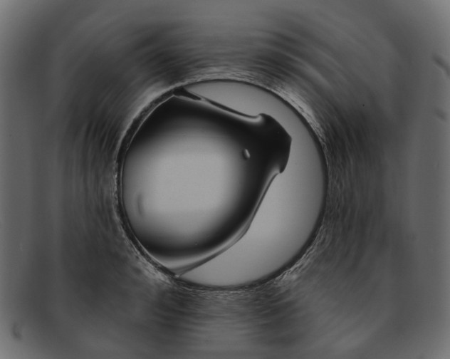X0000091930992200709191356