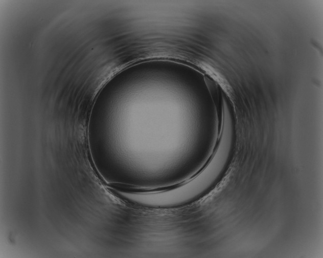 X0000091930993200709191356