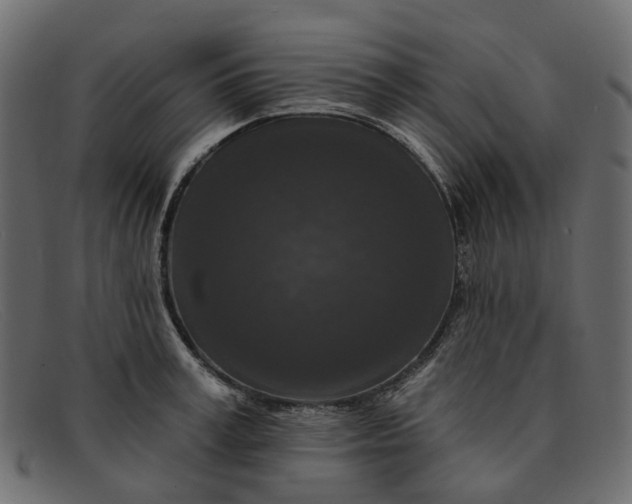 X0000091930995200709191356