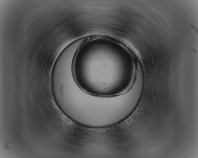 X0000091930996200709191356