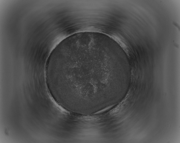 X0000091930998200709191356