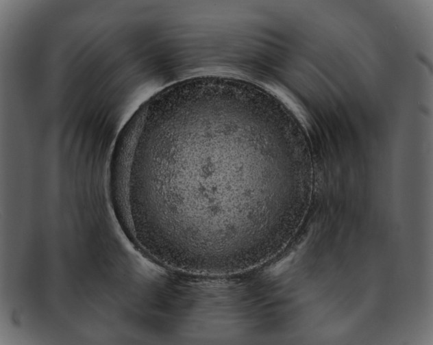X0000091930999200709191356
