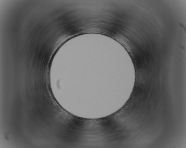X0000091931000200709191356