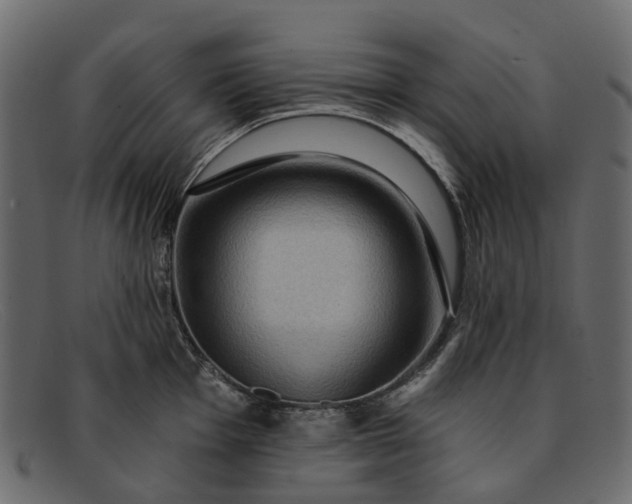 X0000091931001200709191356