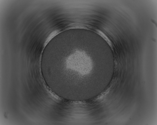 X0000091931002200709191356