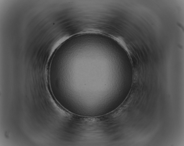 X0000091931003200709191356