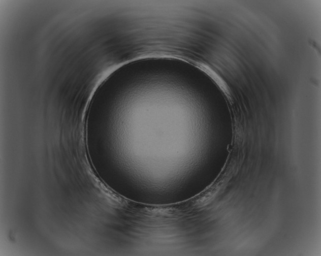 X0000091931004200709191356