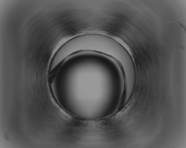 X0000091931005200709191356