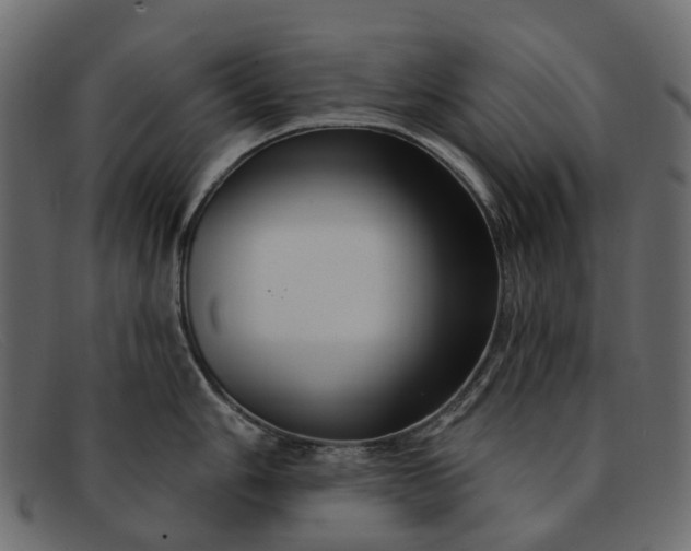 X0000091931006200709191356