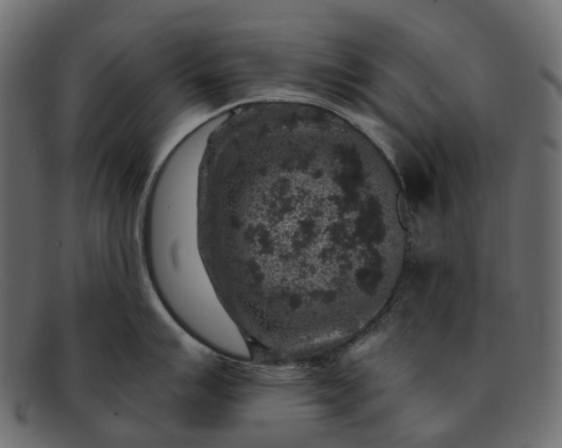 X0000091931007200709191356