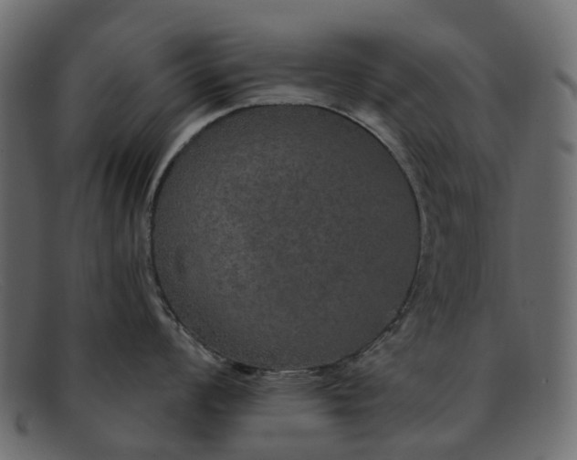 X0000091931008200709191356