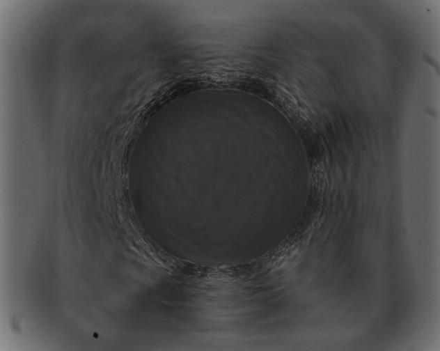 X0000091931009200709191355