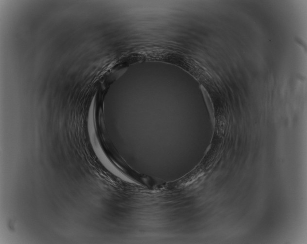 X0000091931010200709191355